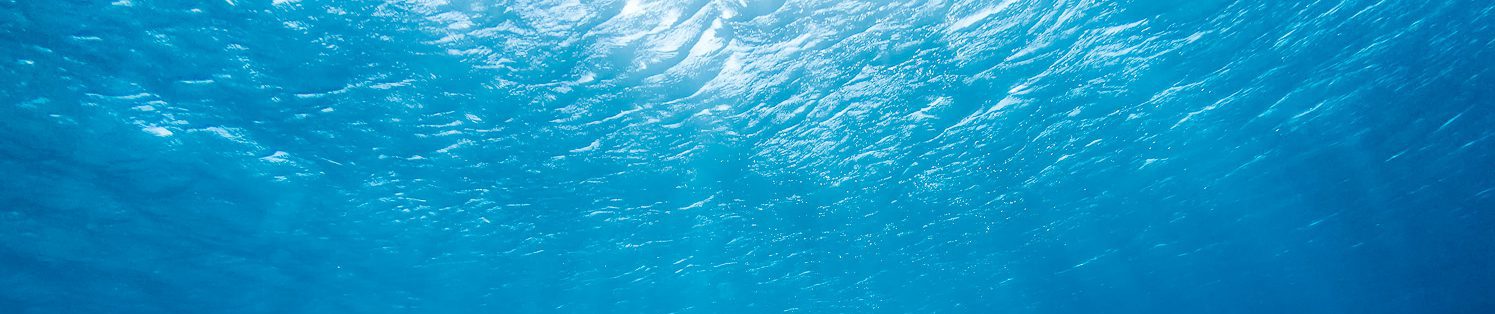Aquablog